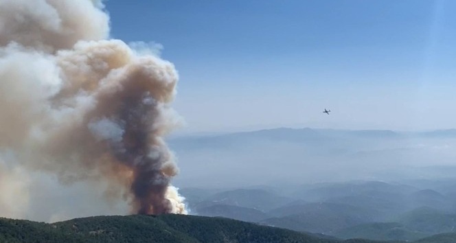 Hatay’daki orman yangını drone ile görüntülendi