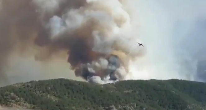 Hatay’daki orman yangınıyla ilgili 1 kişi gözaltına alındı