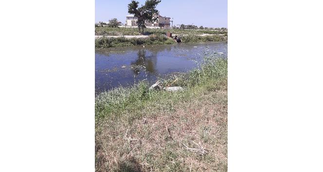 Sulama kanalına düşen eşeği itfaiye kurtardı