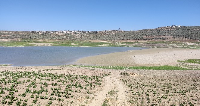 Yarseli Göletinde sular çekildi
