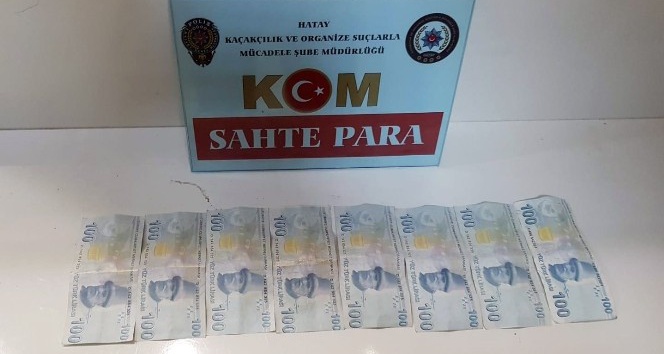 Hatay’da sahte para operasyonu