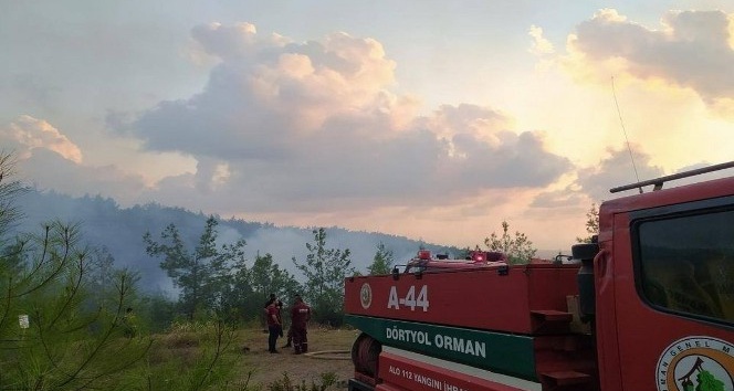 Hatay’da çıkan orman yangınları söndürüldü