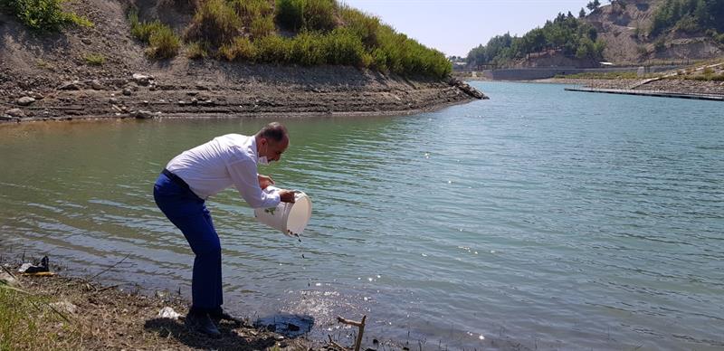 Hatay’da Göl Ve Göletlerine 94.000 Adet Sazan Yavrusu Bırakıldı