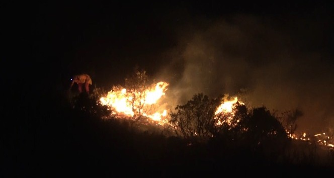 Hatay’da orman yangını