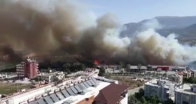 Orman yangını kente sıçradı