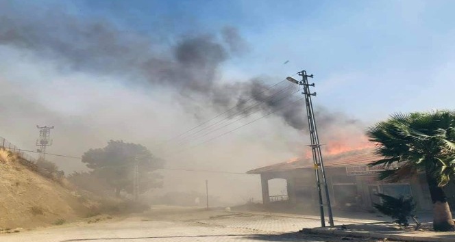 Orman yangını rüzgar nedeniyle kontrol altına alınamıyor