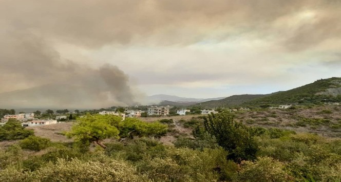 Suriye’de orman yangını çıktı, dumanı Samandağ’ı kapladı