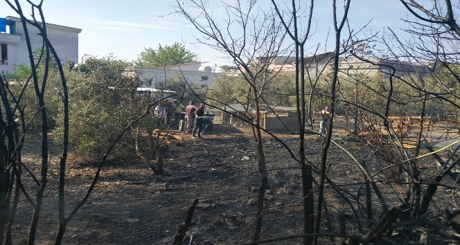 Erzin’de çıkan yangın evlere sıçramadan söndürüldü