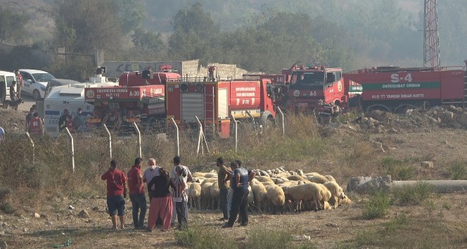 Hatay’da orman yangını yerleşim yerlerini tehdit ediyor