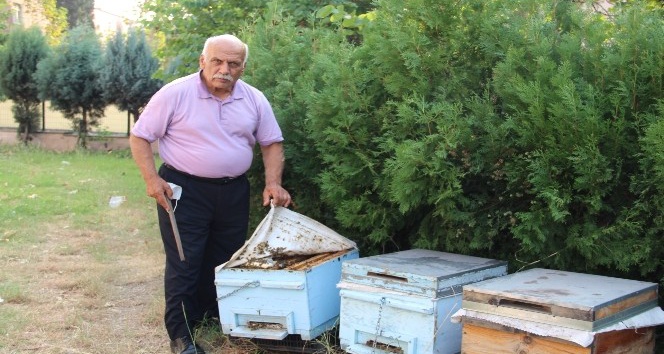 Hatay’daki yangında binden fazla arı kovanı yandı