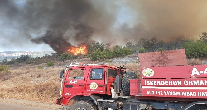 Hatay’da bir orman yangını daha