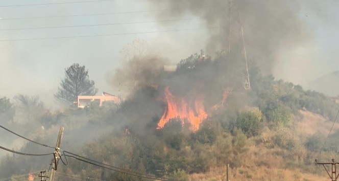 Hatay’da yerleşim yerlerine de ulaşan orman yangınına müdahale sürüyor