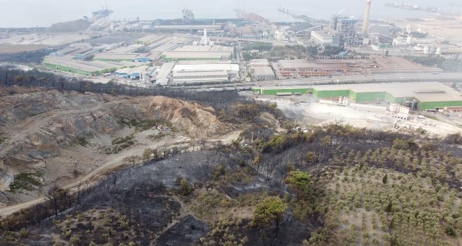 Hatay’da yanan alanlar havadan görüntülendi