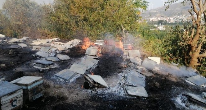 Samandağ’daki yangın sigara izmaritten çıkmış