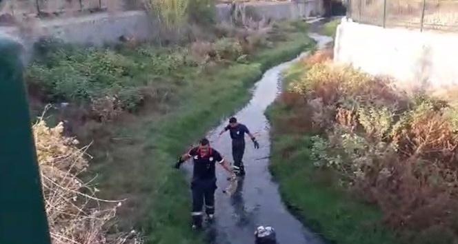 Dereye düşen yavru köpeği itfaiye kurtardı
