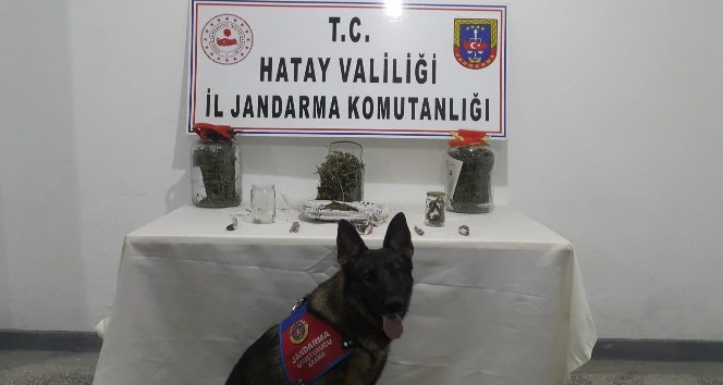 Uyuşturucu operasyonu: 1 tutuklama