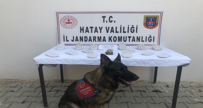 Nar ağacı altına gömülü  3 kilo esrar ele geçirildi