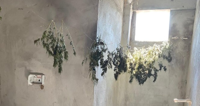 Hatay’da uyuşturucu operasyonu