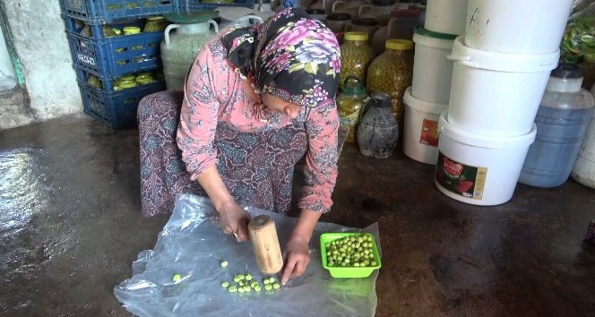 Okuyan çocuğu ve engelli eşi için zeytincilik işine girdi