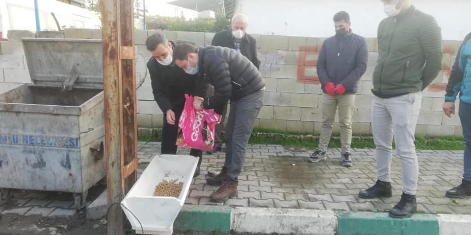 Kumlu’da Sokak Hayvanlarına Mama Bırakıldı