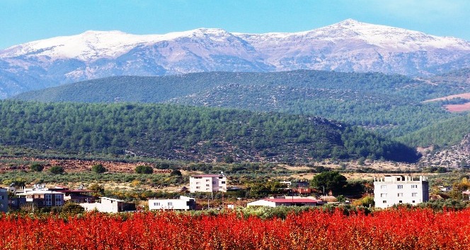 Amanoslara mevsimin ilk karı düştü