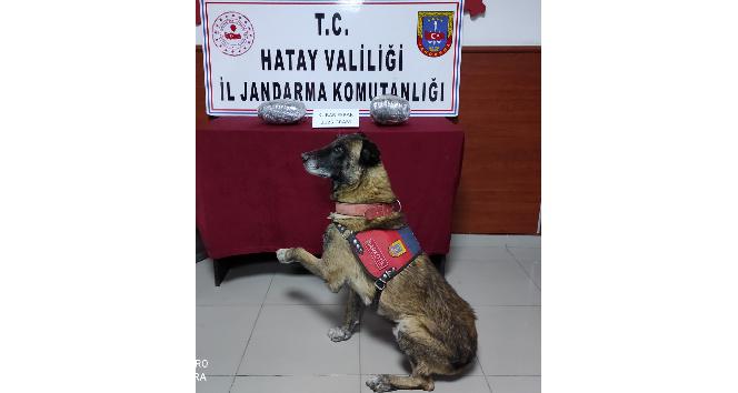 Şüpheli otomobilden uyuşturucu çıktı