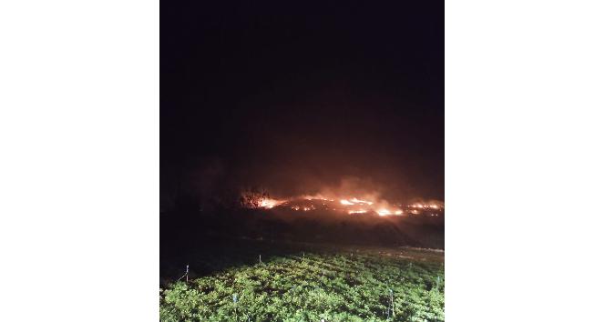 Hatay’da tarihi turistik bölgede yangın