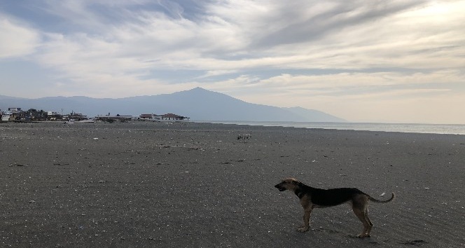 En uzun sahil sokağa çıkma yasağında sessizliğe büründü