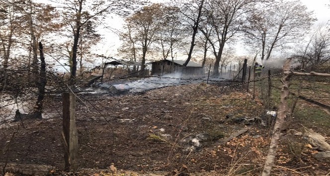 Yayla evinde yangın çıktı