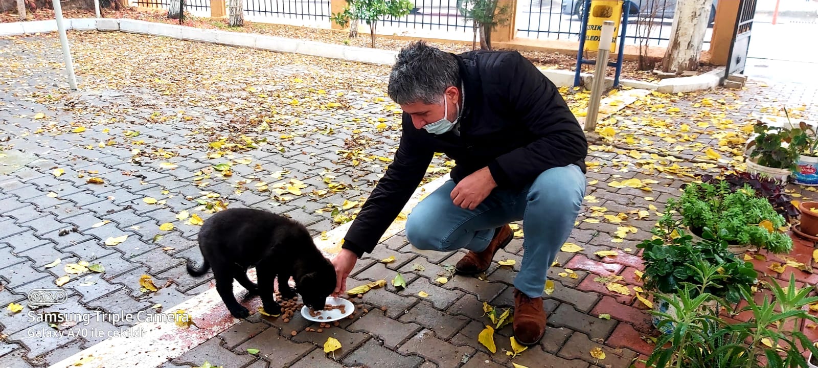 BAŞKAN YAVUZ SOKAK HAYVANLARINA SAHİP ÇIKMAYA DEVAM EDİYOR