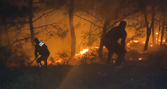 Hatay’da havai fişek ormanda yangına neden oldu