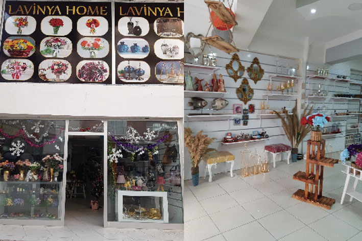 lavinya home