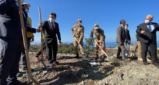 GÜBRETAŞ, Hatay’da yanan ormanlık alanlara fidan dikti