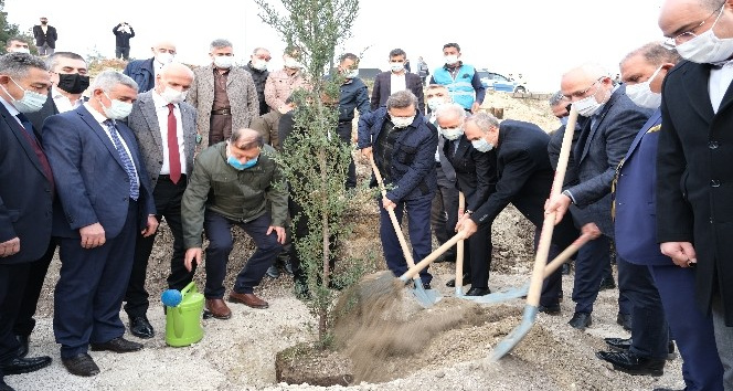 TOBB’dan Belen’deki yangınlarda zarar gören alanlara 31 bin fidan