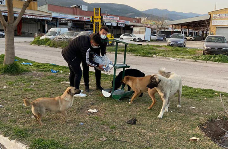 KIRIKHAN BELEDİYESİ SOKAK HAYVANLARINA SAHİP ÇIKMAYA DEVAM EDİYOR