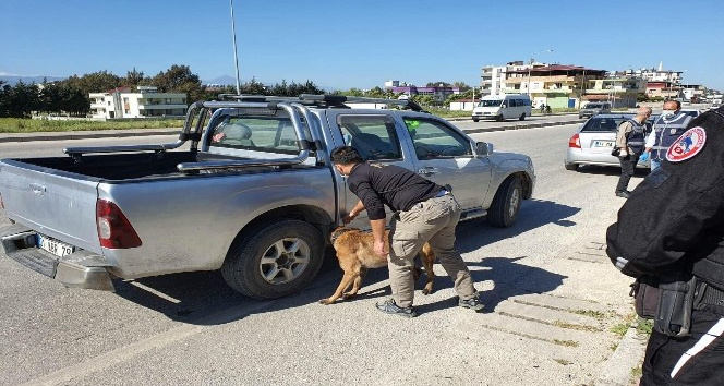 Hatay’da asayiş uygulaması