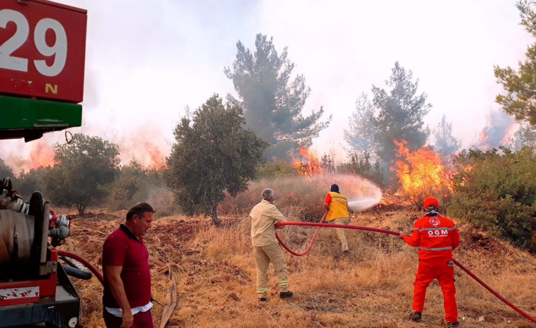 Hatay Orman Yangınları Belgesel Oldu