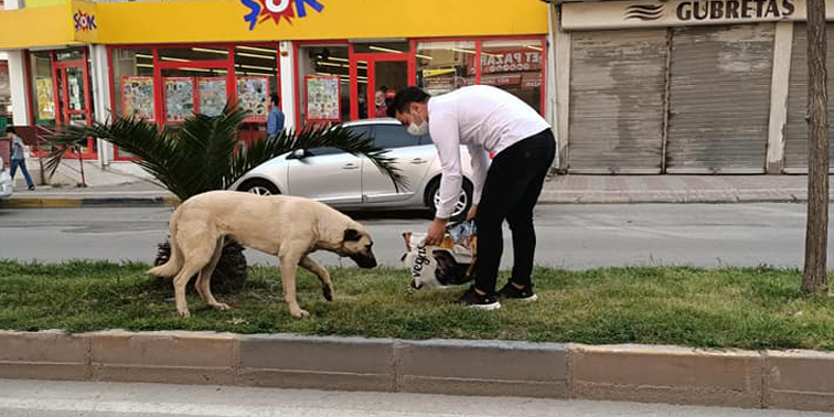 Kırıkhan’da Sokaktaki Canlar Unutulmuyor