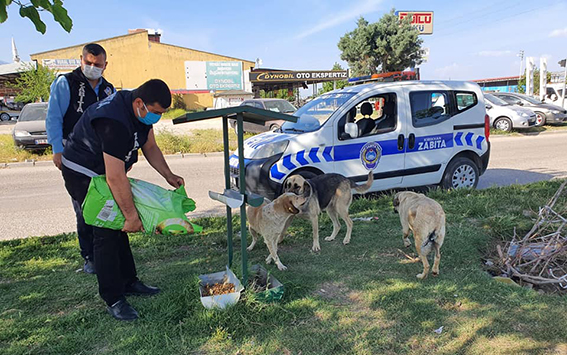 Tam kapanmada sokak hayvanlarına mama desteği