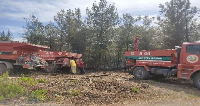 Orman yangınında 1 hektarlık alan zarar gördü