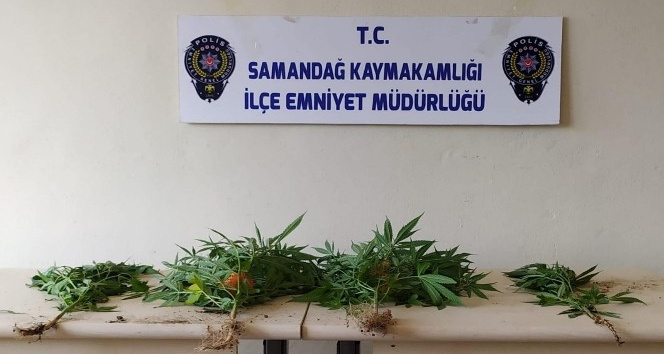 Samandağ’da uyuşturucu operasyonu: 2 gözaltı