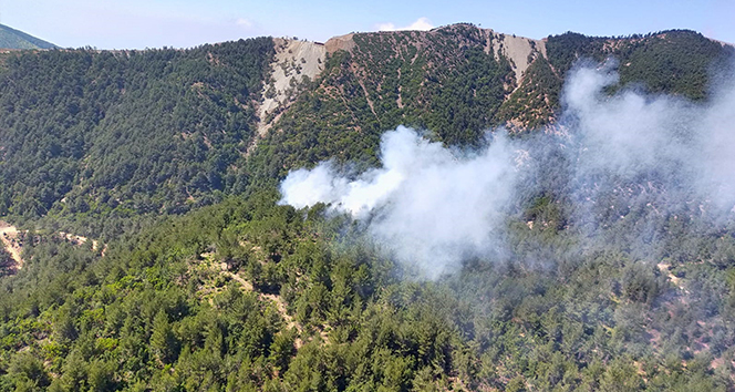 Hatay’da Orman Alanlarına Giriş Yasaklandı