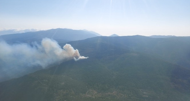 Hatay’da örtü yangınında 3 hektar alan zarar gördü