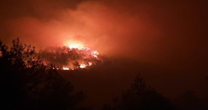 Hassa’da Orman Yangını