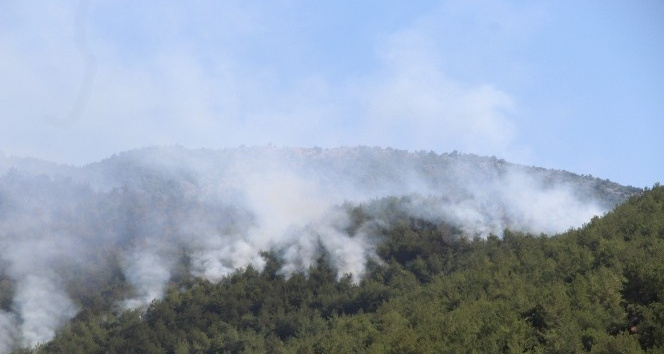 Hassa’daki orman yangınına müdahale sürüyor