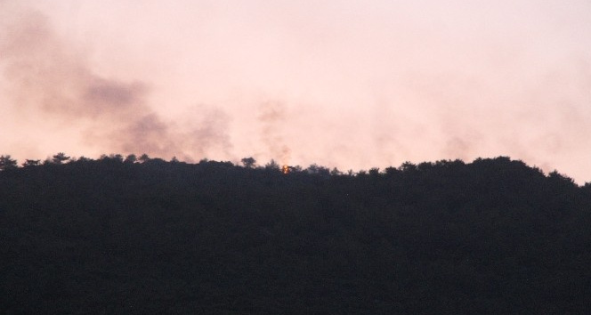 Hassa’da orman yangınına müdahale devam ediyor