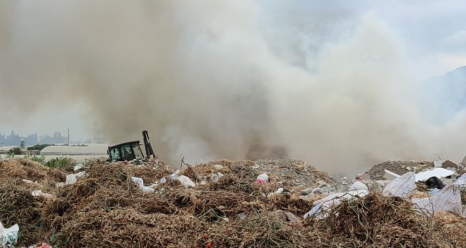 Samandağ’da seralara yakın alanda yangın