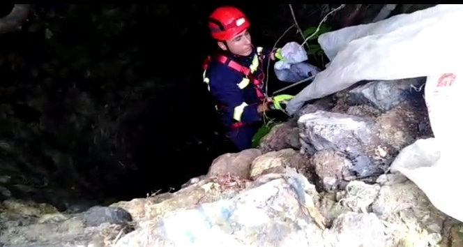 Kuyuya düşen yavru kediyi itfaiye kurtardı