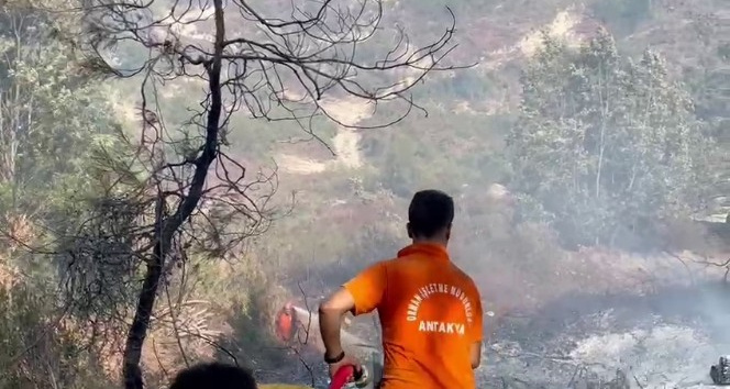 Suriye sınırında orman yangını