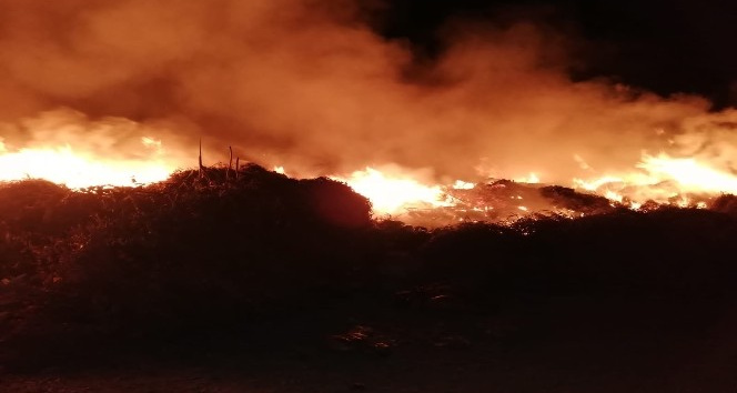 Bahçe yangını korkuttu